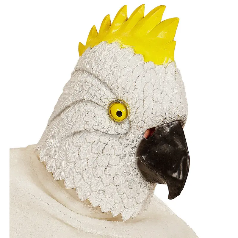 Previous Product Image