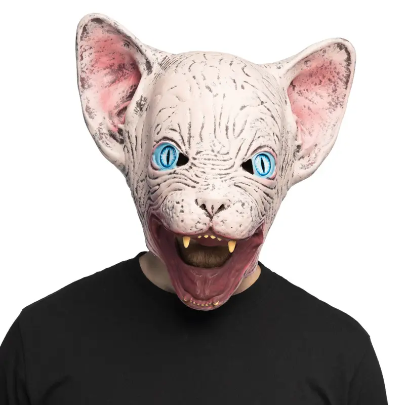 Next Product Image